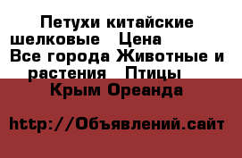 Петухи китайские шелковые › Цена ­ 1 000 - Все города Животные и растения » Птицы   . Крым,Ореанда